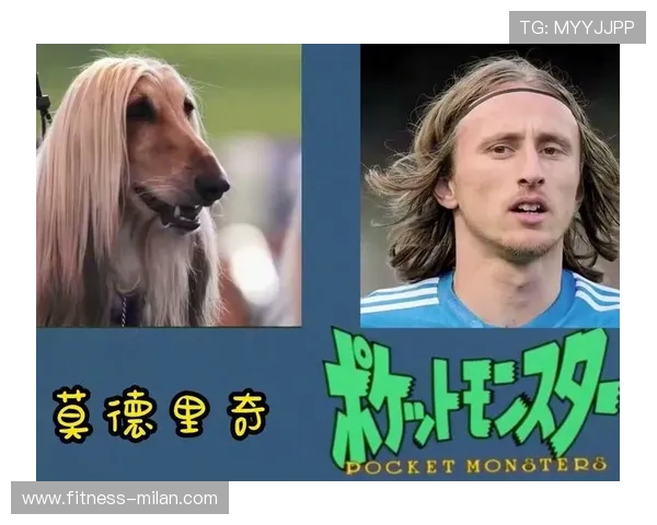 撞伤动物的足球明星背后故事与争议引发广泛关注 撞伤动物的足球明星背后故事与争议引发广泛关注